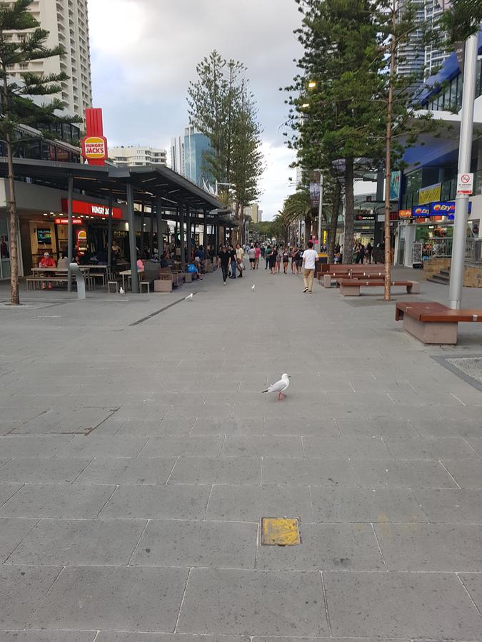 The Sands Surfers Paradise Bagian luar foto